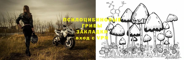 амф Белоозёрский