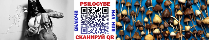 Псилоцибиновые грибы ЛСД  Светлогорск 